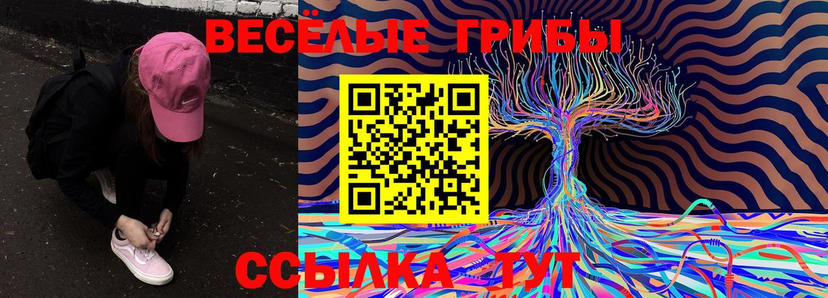 Псилоцибиновые грибы Cubensis  Псилоцибиновые грибы Cubensis  Вход с VPN  Прокопьевск 