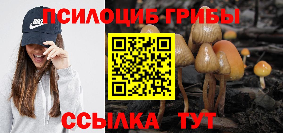 Псилоцибиновые грибы GOLDEN TEACHER Прокопьевск